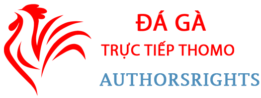 Đá Gà Trực Tiếp Thomo Hôm Nay